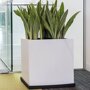 Pottery Pots Essential Block vierkante plantenbak mat wit